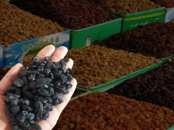 ارزان ترین کشمش در بازار ایران